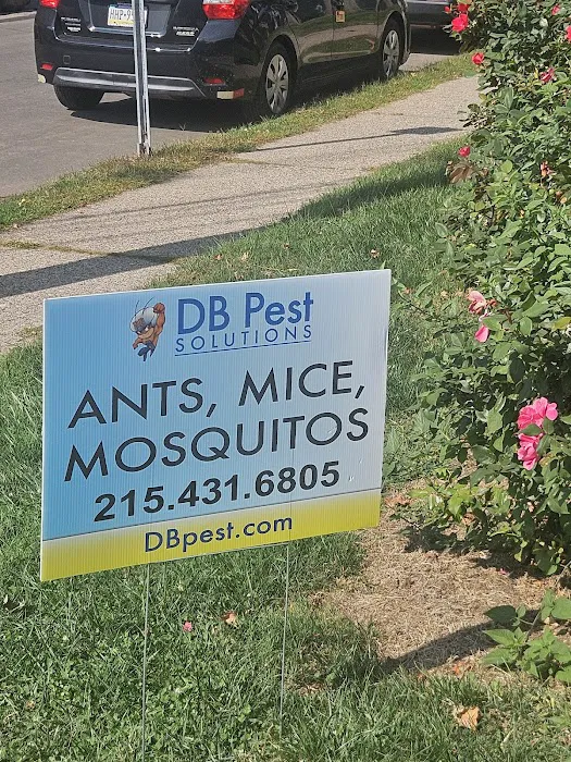 DB Pest Solutions Picture 5