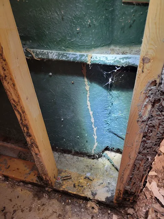 Ed's Pest & Wildlife Control, LLC Picture 6