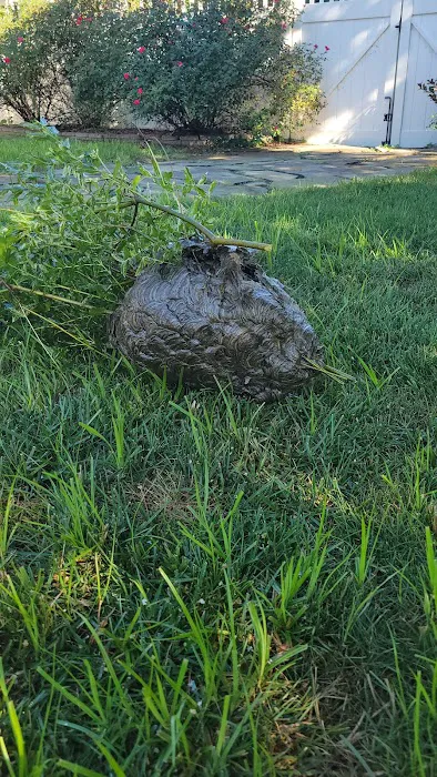 Ed's Pest & Wildlife Control, LLC Picture 9