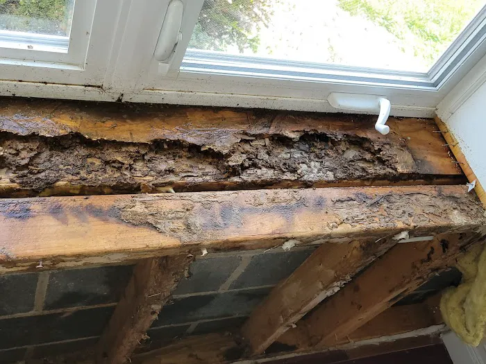Ed's Pest & Wildlife Control, LLC Picture 4