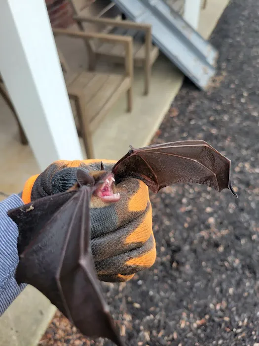 Ed's Pest & Wildlife Control, LLC Picture 8
