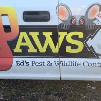 Ed's Pest & Wildlife Control, LLC ico
