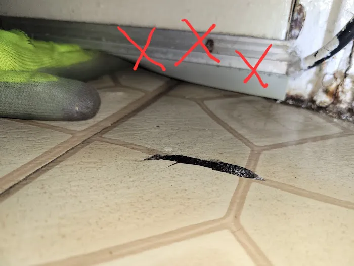 Ed's Pest & Wildlife Control, LLC Picture 2
