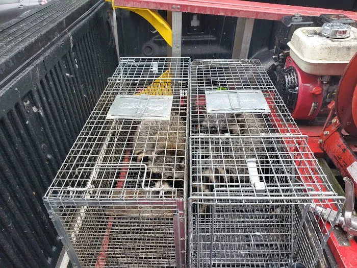 Ed's Pest & Wildlife Control, LLC Picture 10