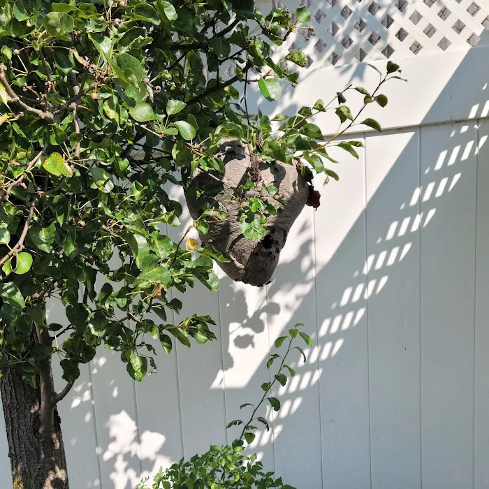Ed's Pest & Wildlife Control, LLC Picture 5