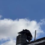 Pest and Wildlife Control Company