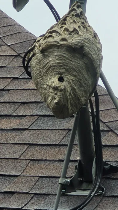 Smitty's Pest Control Picture 2