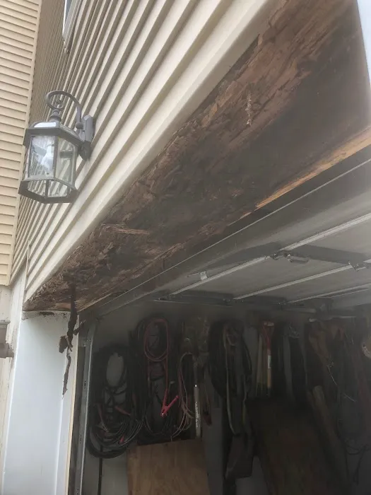 FlynnCo Pest Management Picture 5
