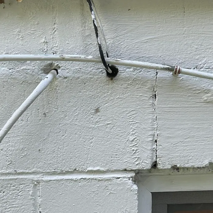 StrongArm Pest Control Picture 2