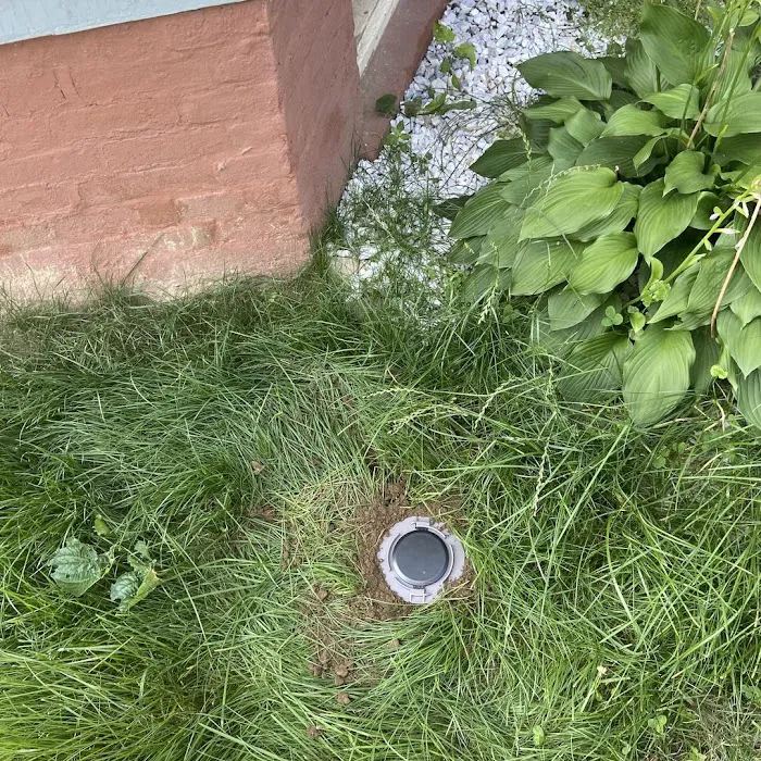 StrongArm Pest Control Picture 10