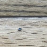 StrongArm Pest Control ico