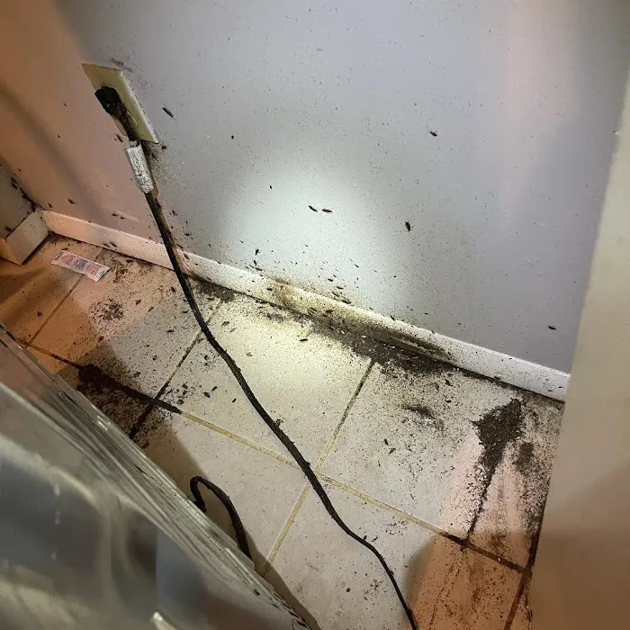 StrongArm Pest Control Picture 7