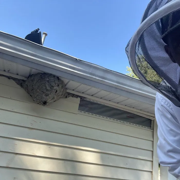 StrongArm Pest Control Picture 6