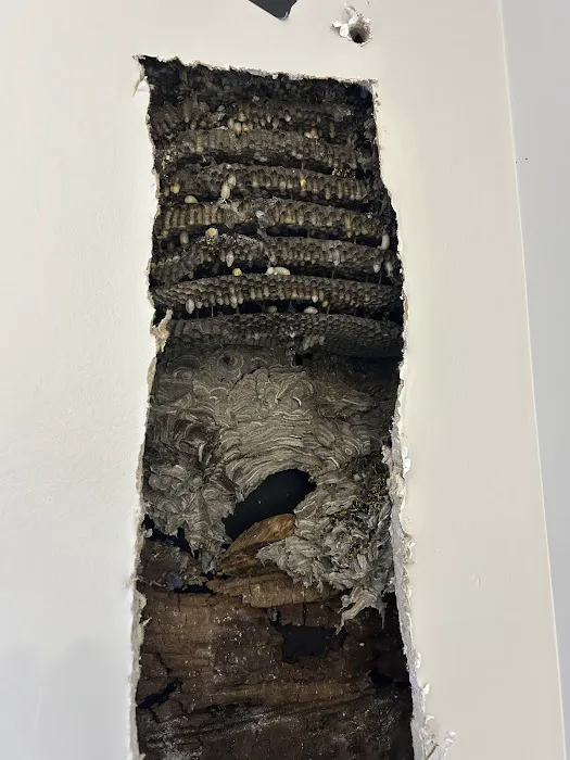 Actiguard Pest Control Picture 9