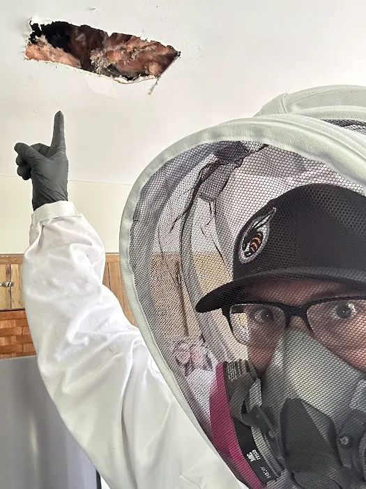 Actiguard Pest Control Picture 10