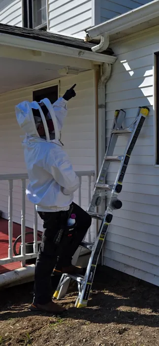 Actiguard Pest Control Picture 5
