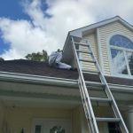 Waverly Pest Control Inc.
