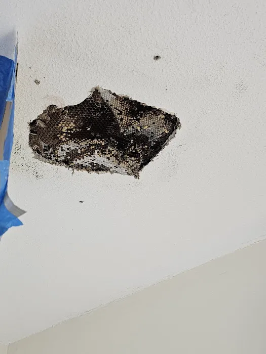 Waverly Pest Control Inc. Picture 3