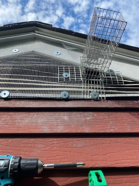 Waverly Pest Control Inc. Picture 8