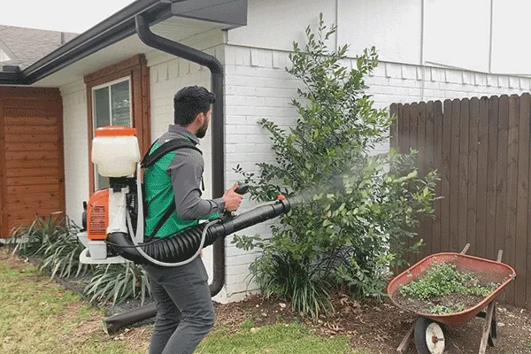 Affordable Pest Control Picture 8