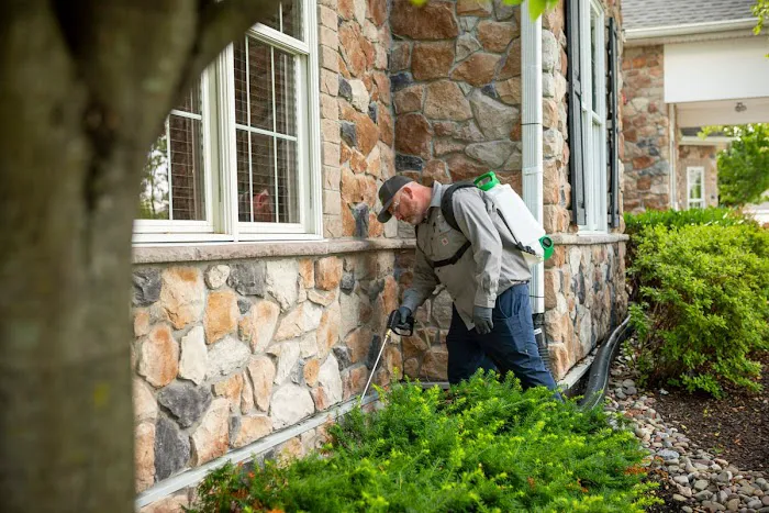 Affordable Pest Control Picture 9