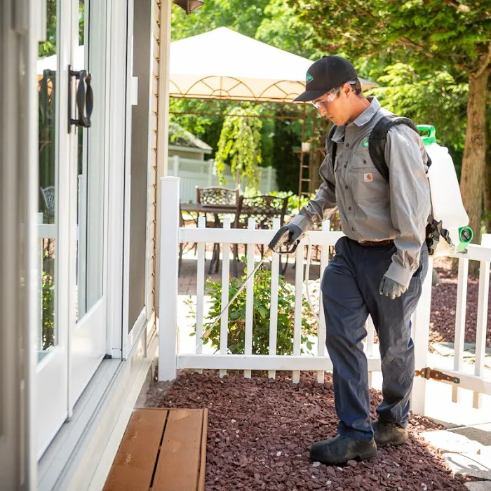 Affordable Pest Control Picture 4