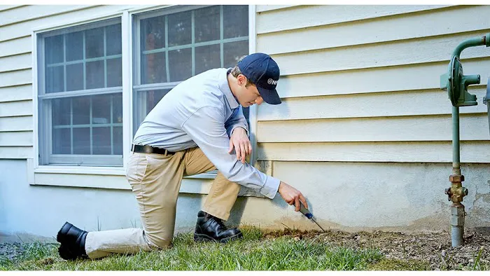 Affordable Pest Control Picture 2