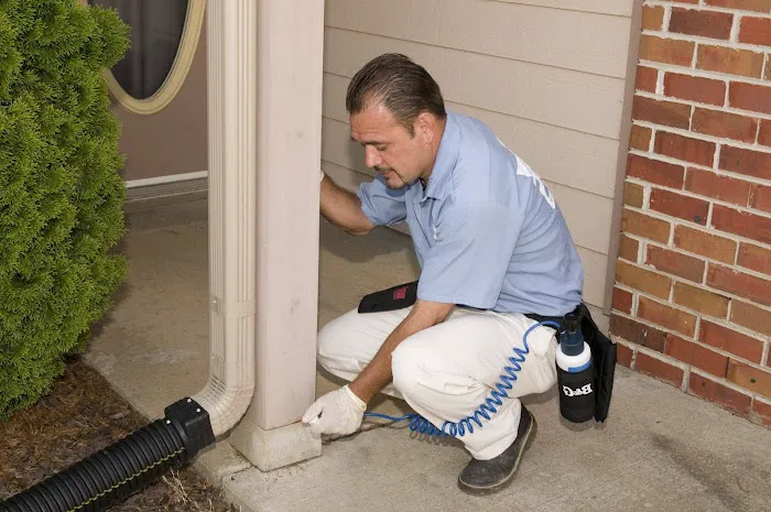 Affordable Pest Control Picture 7