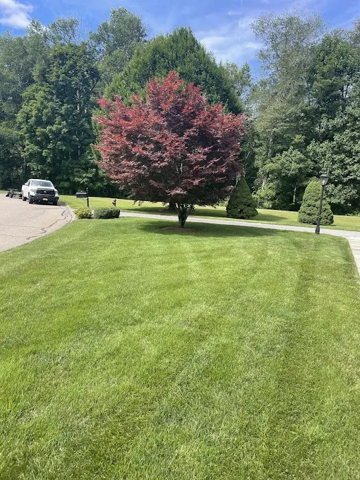 Botanical Solutions LLC Picture 5