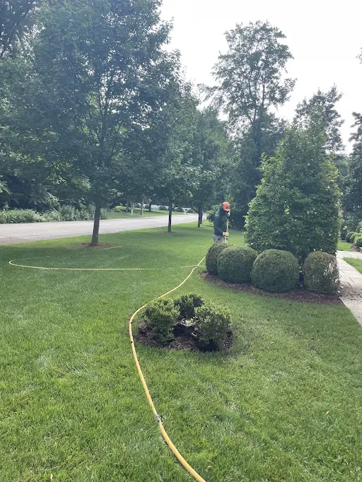 Botanical Solutions LLC Picture 1