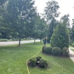 Botanical Solutions LLC