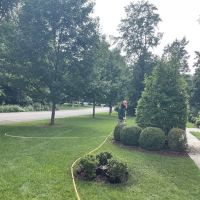 Botanical Solutions LLC ico