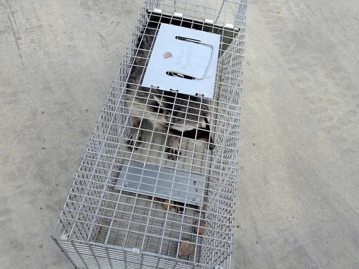 All Gone Exterminating Picture 7