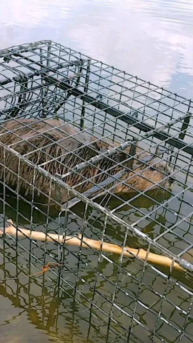 All Gone Exterminating Picture 8