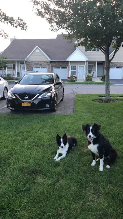 Geese Chasers Long Island NY LLC Picture 1
