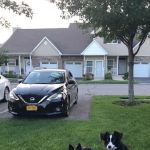 Geese Chasers Long Island NY LLC