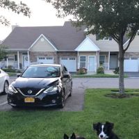 Geese Chasers Long Island NY LLC ico