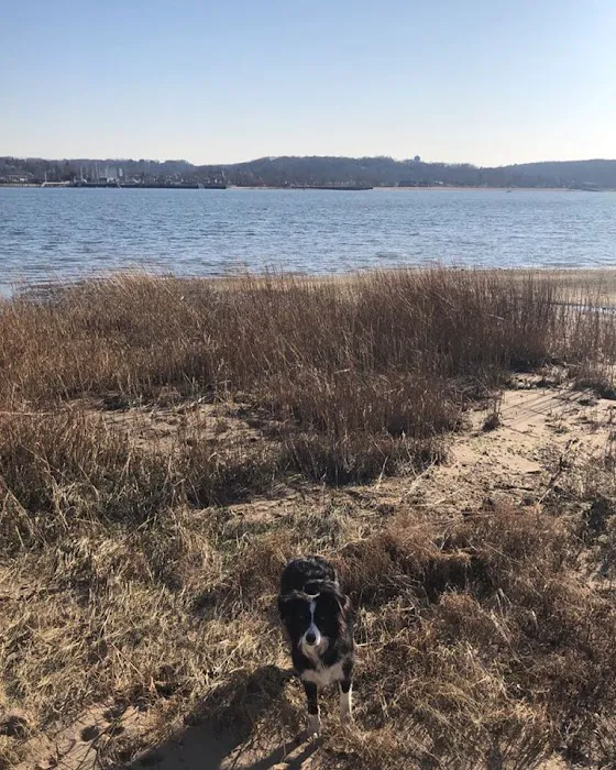 Geese Chasers Long Island NY LLC Picture 6