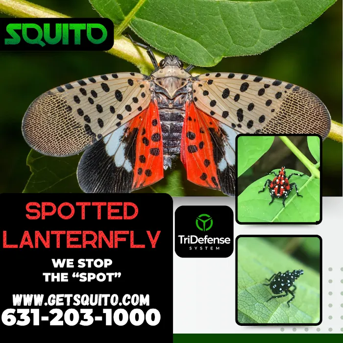 Squito - Smart. Safe. Pest Control Picture 10