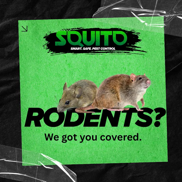 Squito - Smart. Safe. Pest Control Picture 1