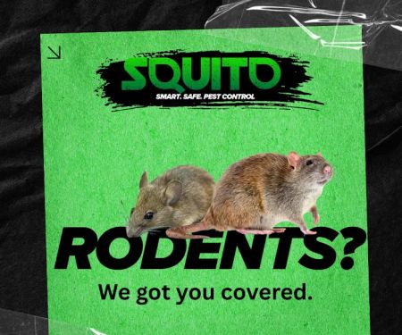 Squito - Smart. Safe. Pest Control