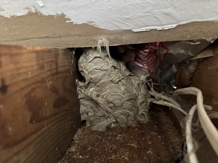 Squito - Smart. Safe. Pest Control Picture 9