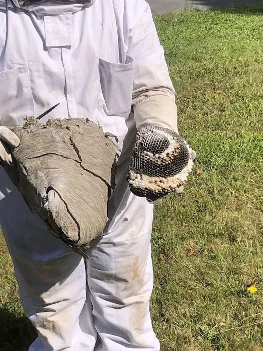 Squito - Smart. Safe. Pest Control Picture 7