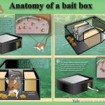Connecticut Tick Control, LLC