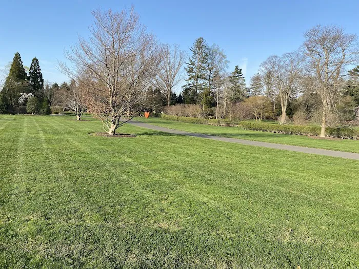Tuff Lawn Picture 4