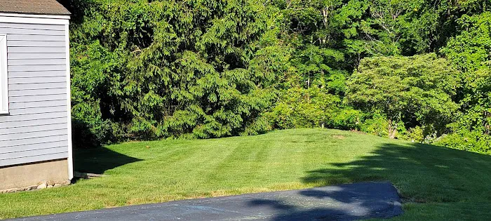 Tuff Lawn Picture 2