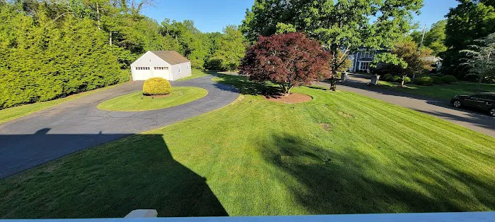 Tuff Lawn Picture 5
