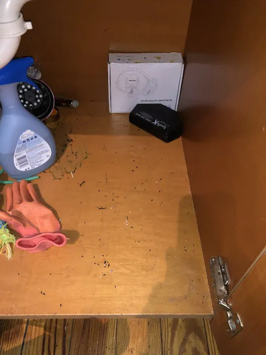 ApolloX Pest Control Picture 4