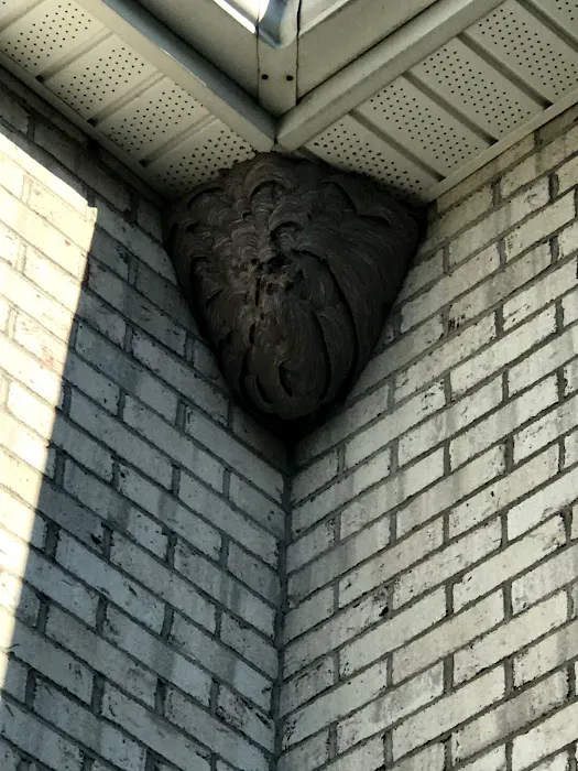 Smart pest control Picture 2