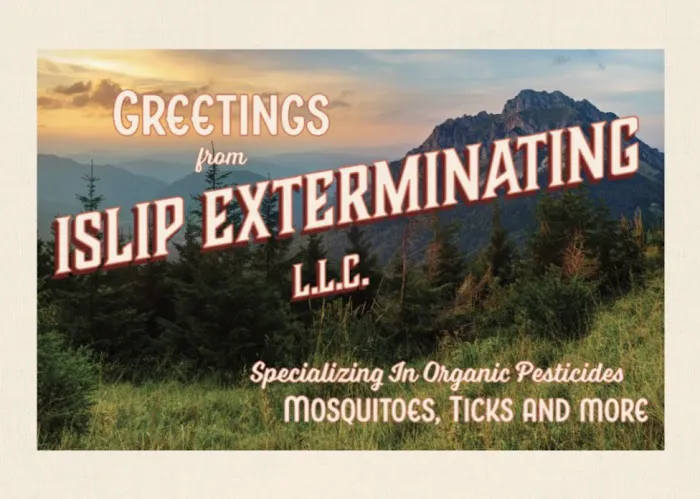Islip Exterminating LLC Picture 3